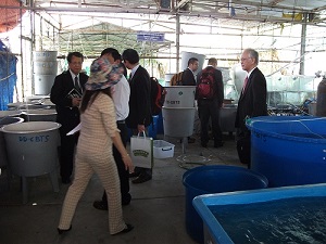 At the College of Aquaculture and Fisheries
