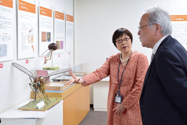 熱帯医学ミュージアムで奥村順子教授から蚊の体の構造について説明を受ける佐藤大使