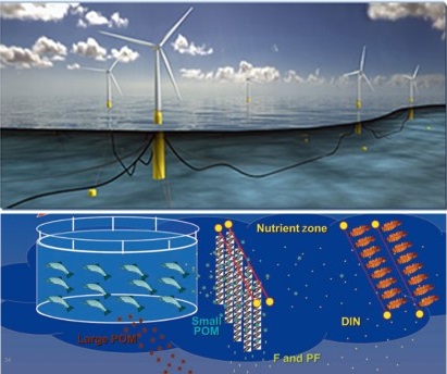 洋上風力発電と沖合養殖との共生プロジェクトのイメージ図