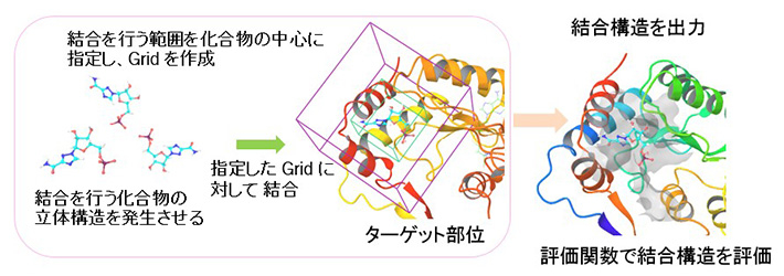 図2. ドッキングシミュレーション