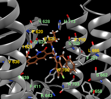 PA-49（茶色）が、PA蛋白質（灰色）にはまり込んでいる分子の図