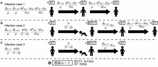 STIs_AMC-pressNU