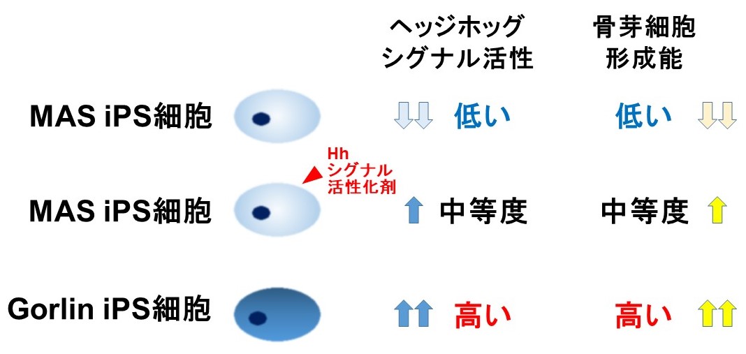 症候群 ゴーリン