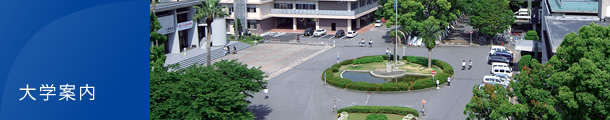 大学案内