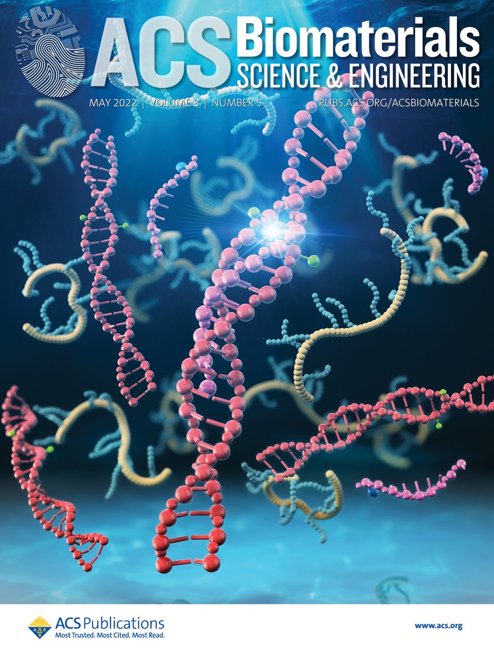 Professor Asako Yamayoshi and Fellow researchers were featured on the cover of ACS Biomaterials Science & Engineering