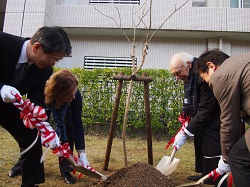 医学部で記念植樹するワトソン博士御夫妻