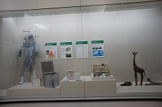 展示の様子