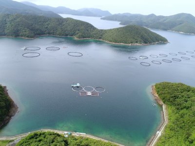 広域空撮飛行ロボットで撮影された養殖海域