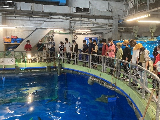 いおワールドかごしま水族館バックヤードの見学