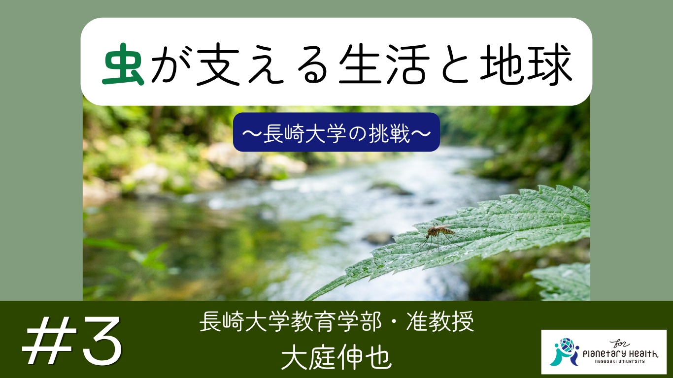 長崎新聞連載　