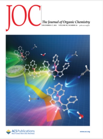 supplementary journal coverに採択