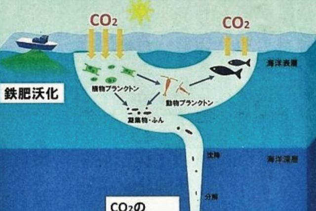 生物ポンプの働き促進