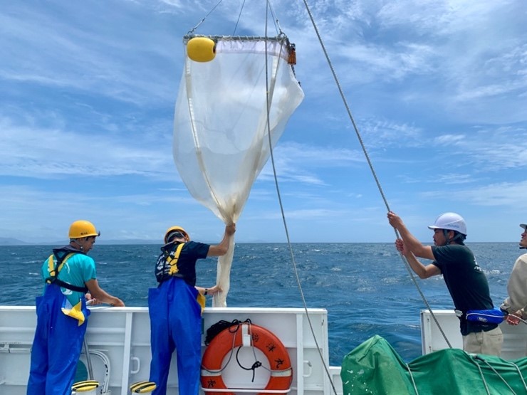 海の表面付近をひくことができる特殊なネット（ニューストンネット）を使用してマイクロプラスチックを集めている様子。